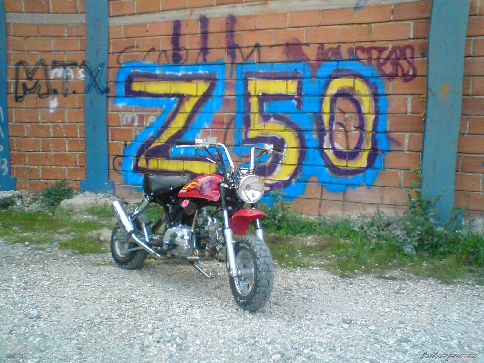 Photo 1505790