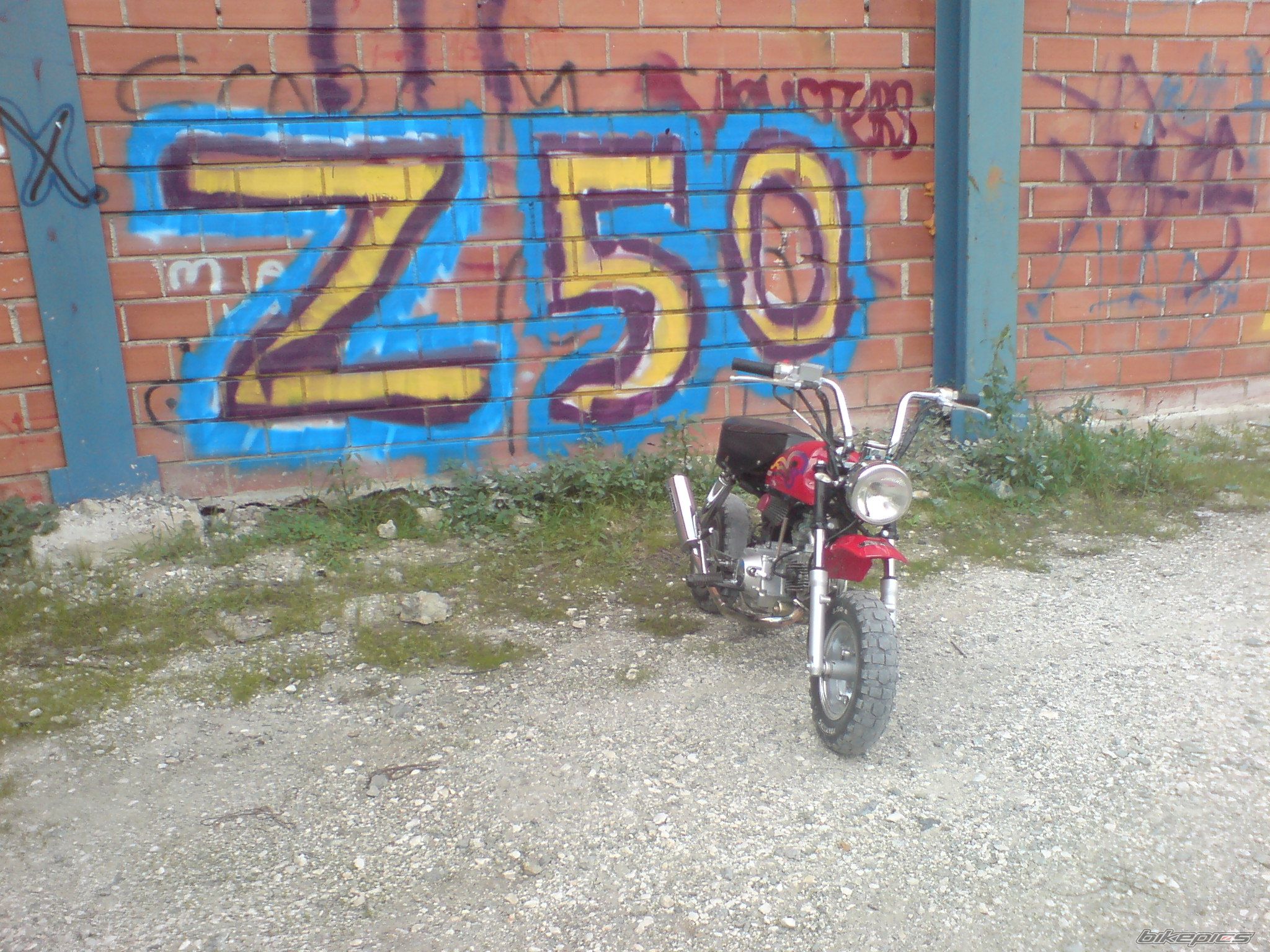 Photo 1505796