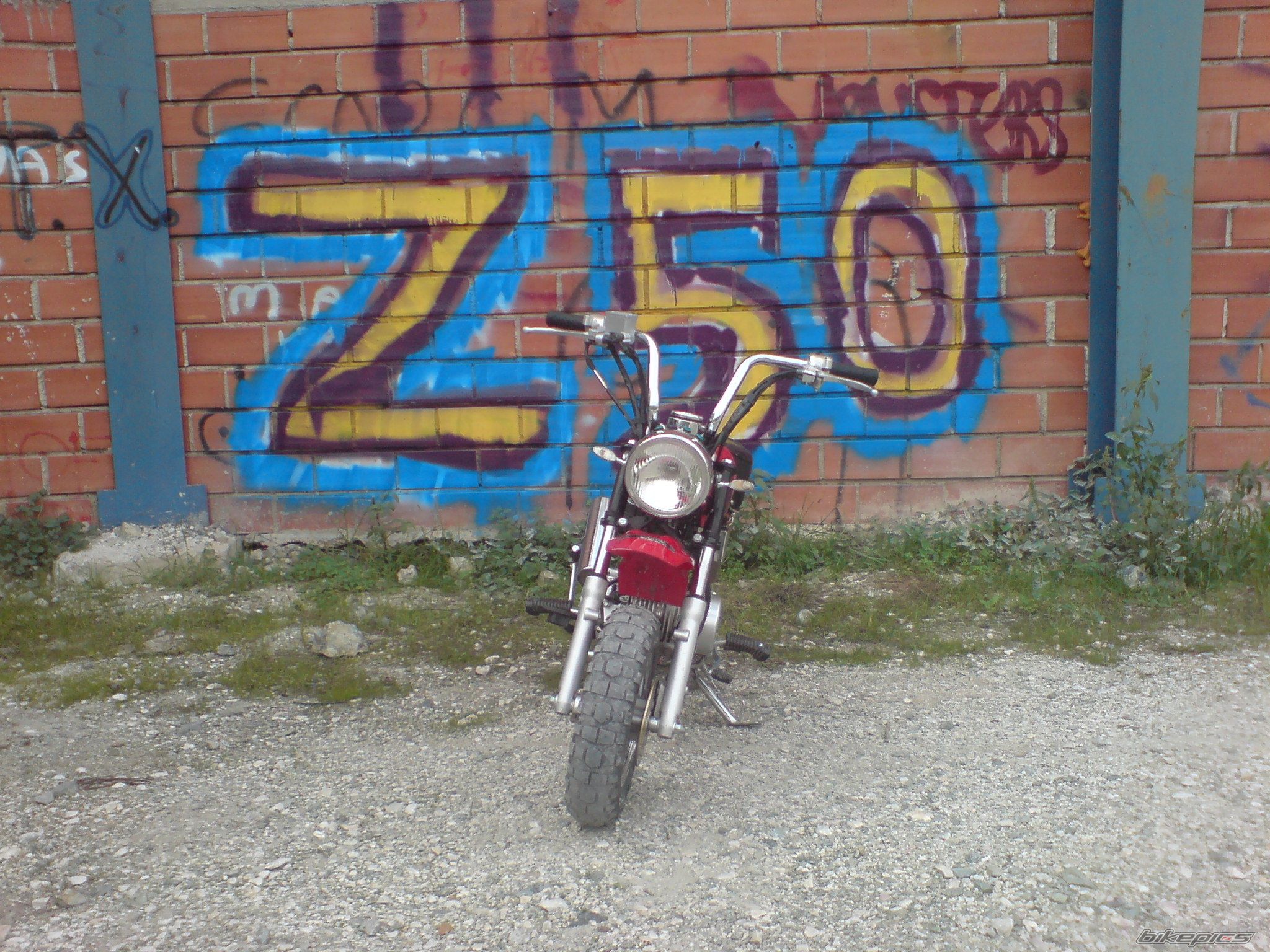 Photo 1505799