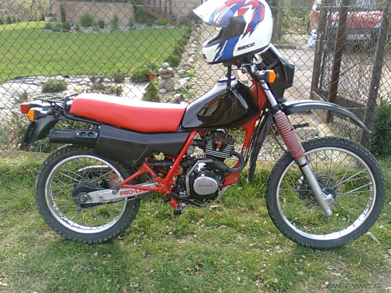 Photo 1505844