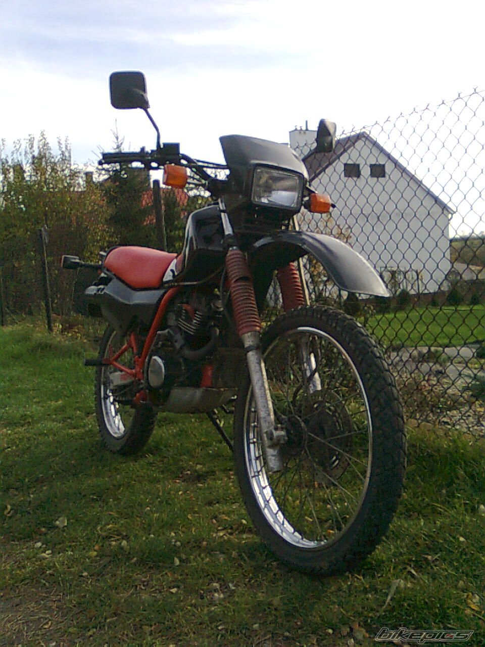 Photo 1505845