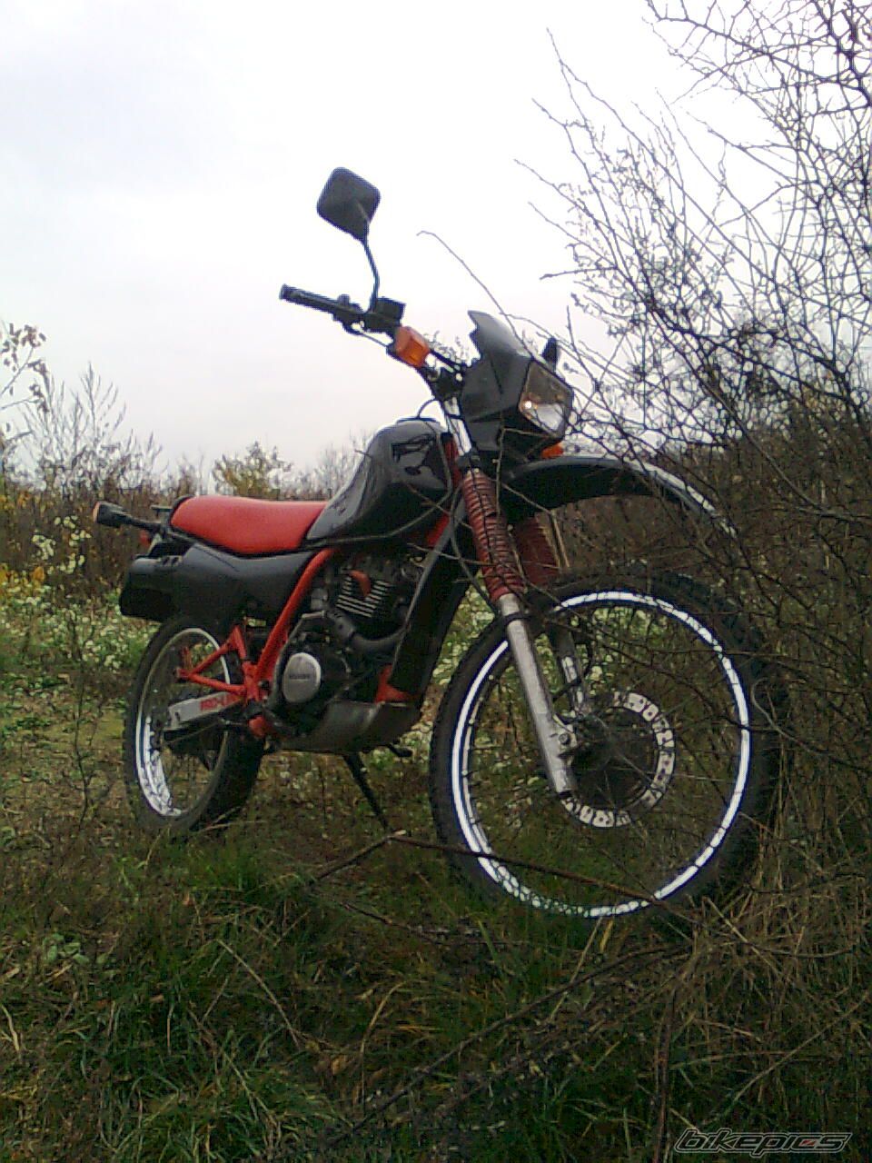 Photo 1505850