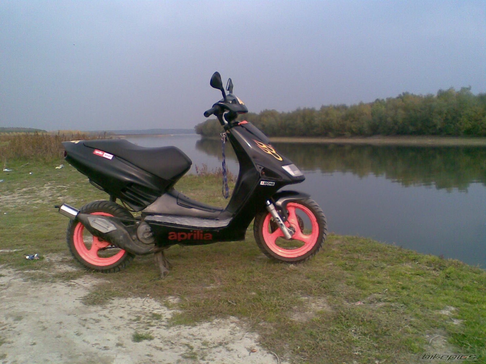 Photo 1506041