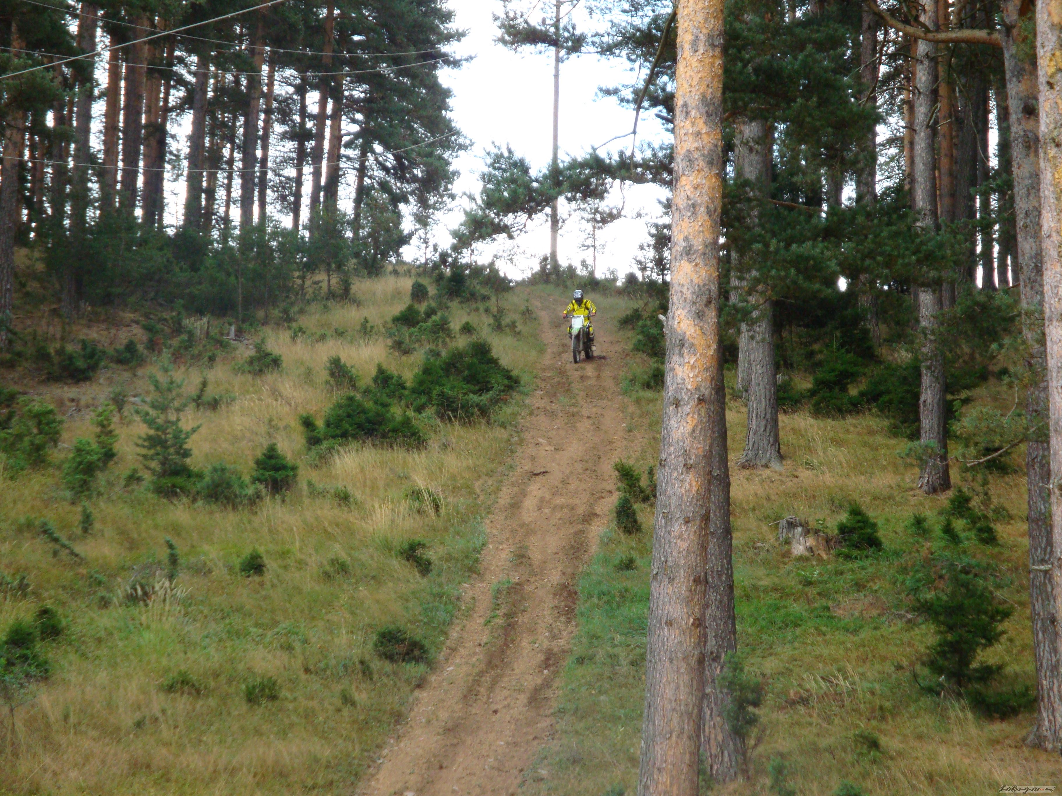 Bike Photo 1506416