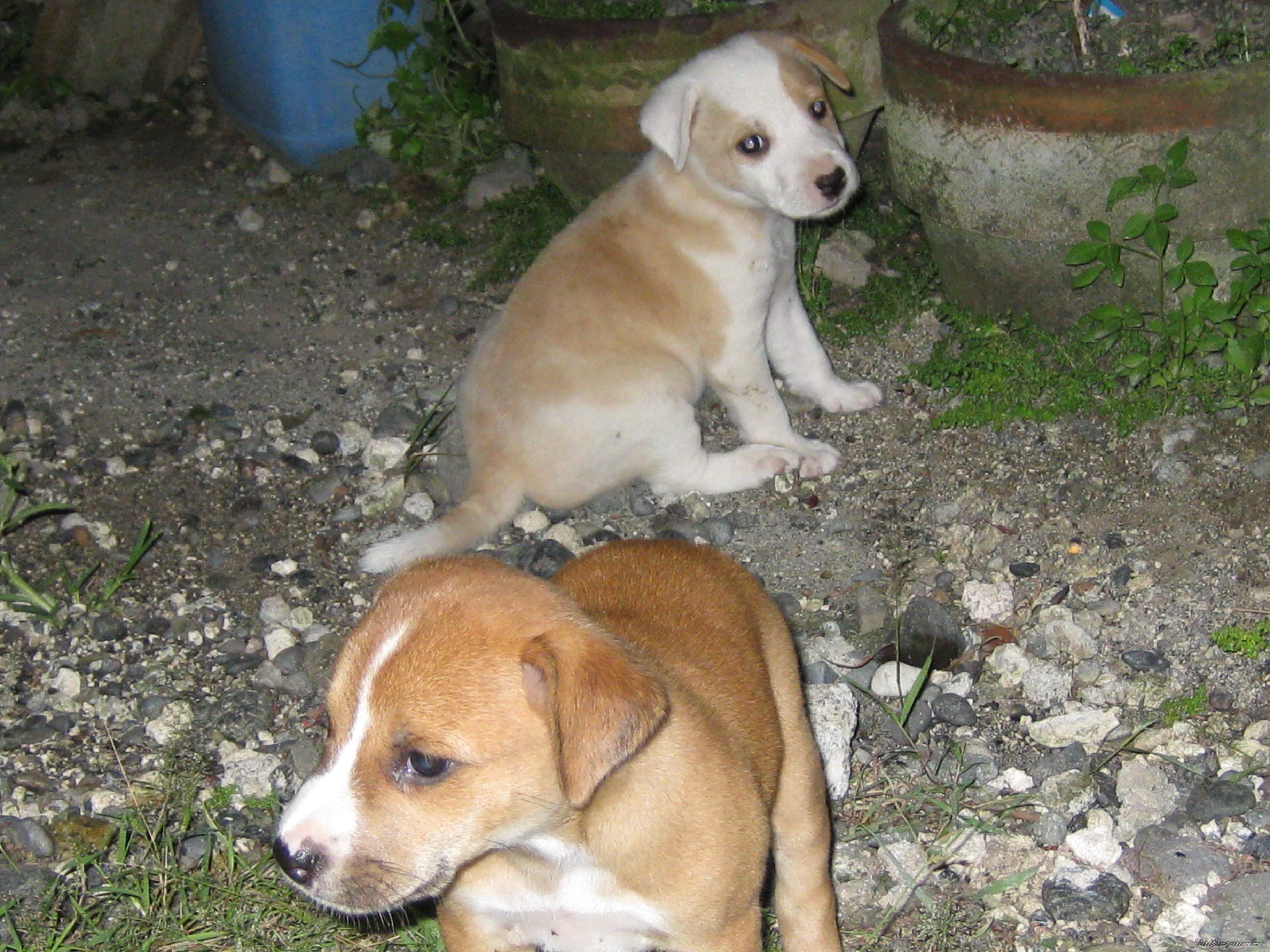 Photo 1506614