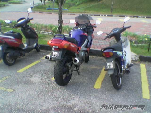 Photo 1506710