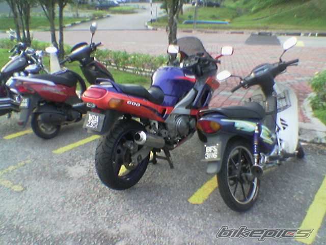Photo 1506711