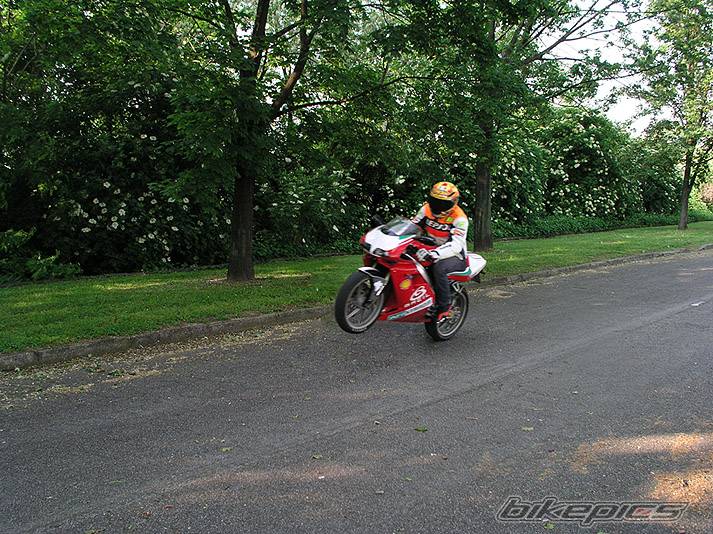 Photo 150674