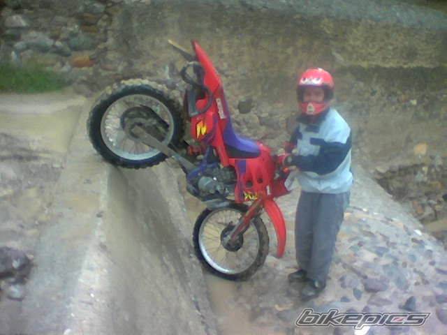 Photo 150683