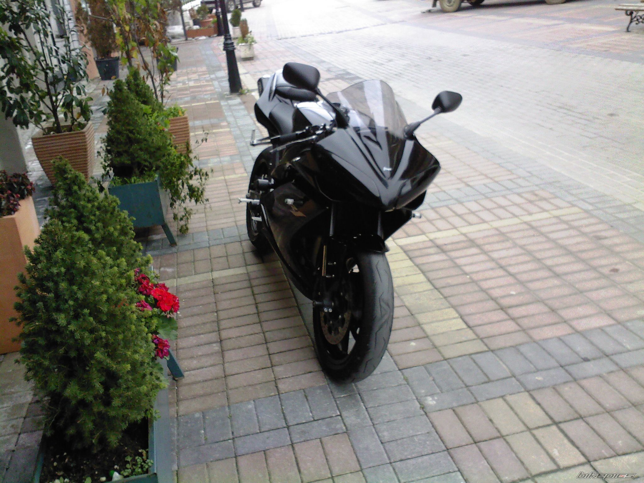 Photo 1506912