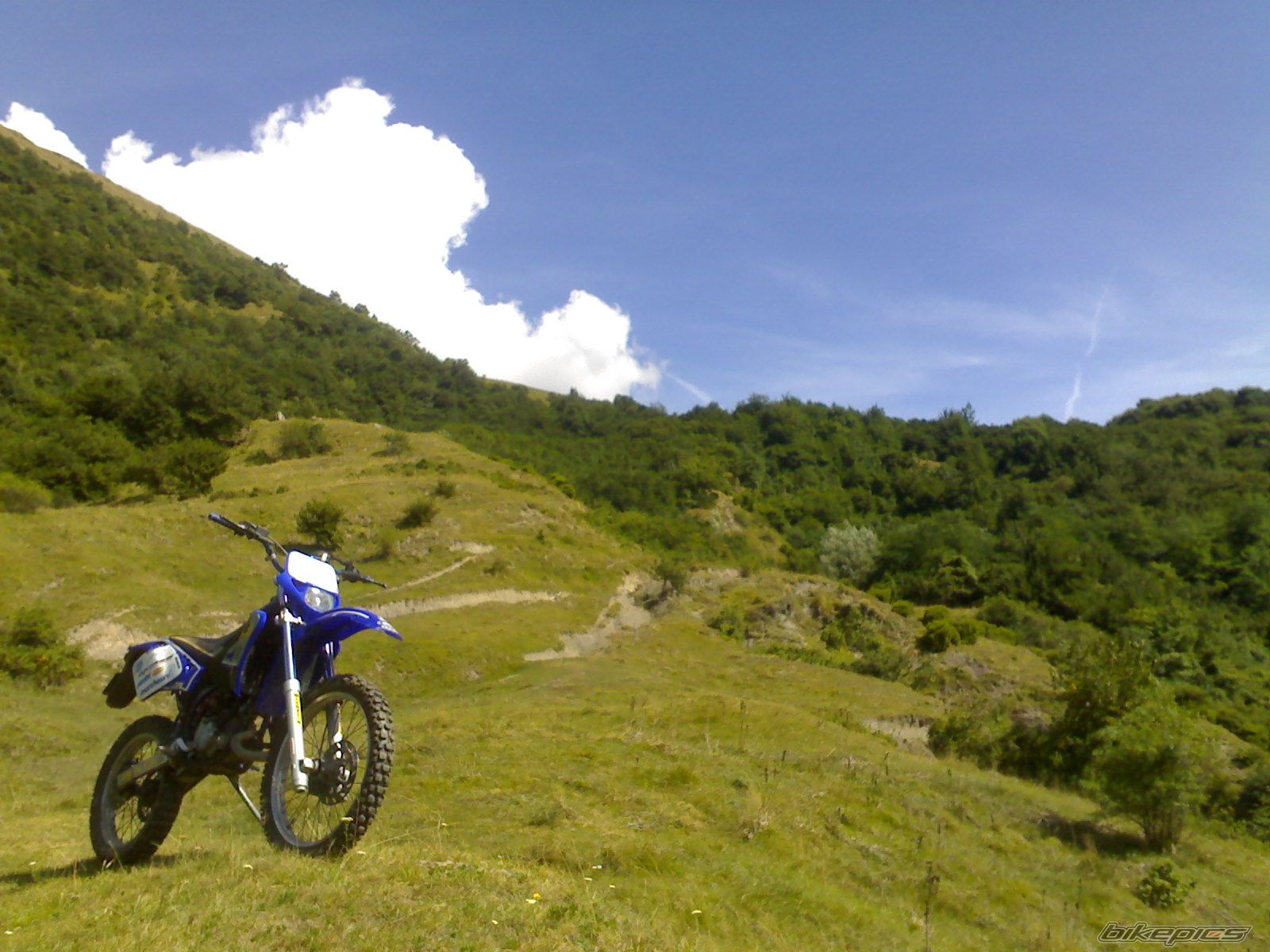 Photo 1506985