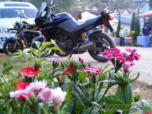 Bike Photo 1507472