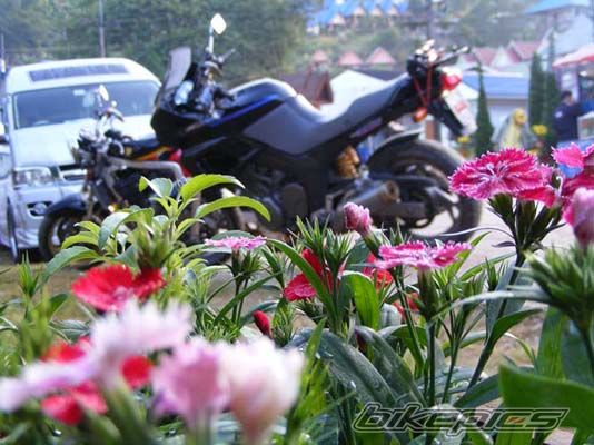 Bike Photo 1507473