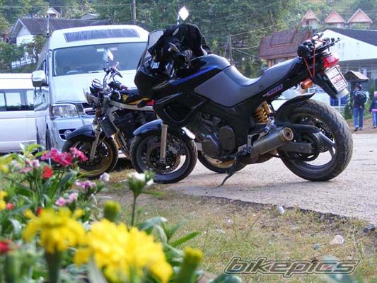 Bike Photo 1507475