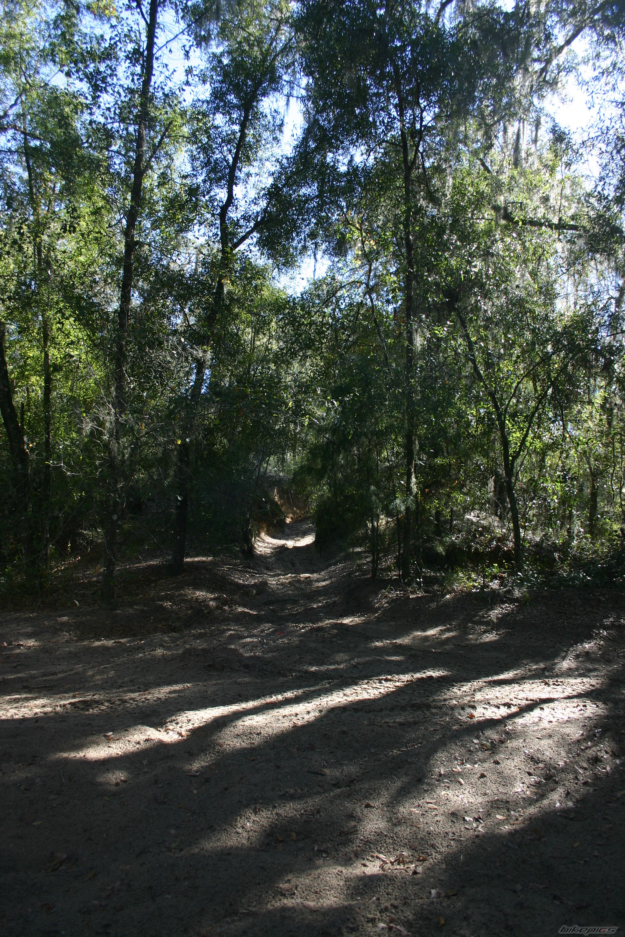 Bike Photo 1507751