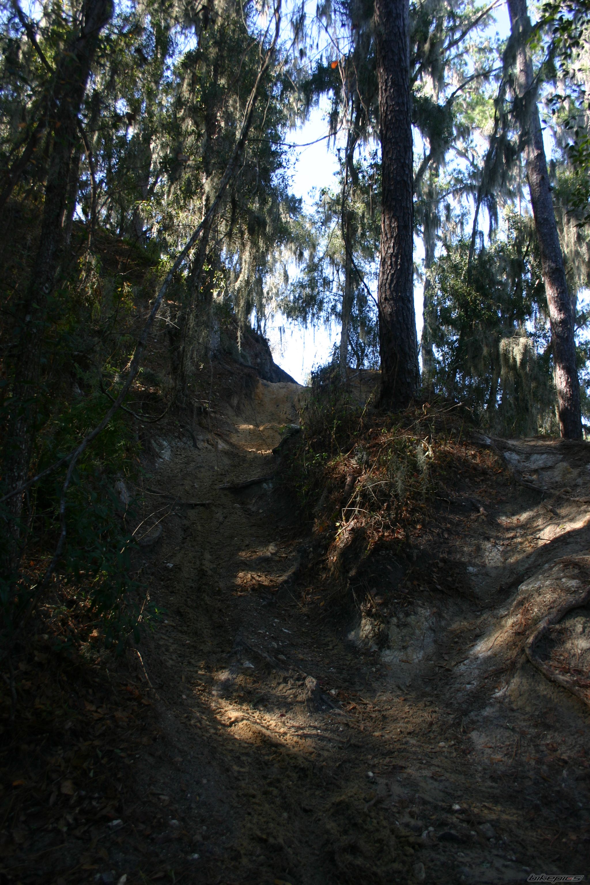 Bike Photo 1507758