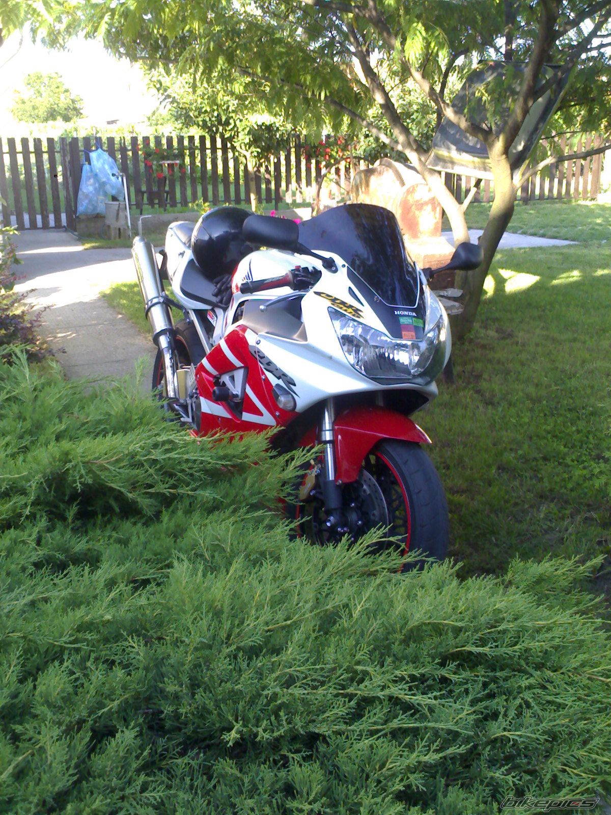 Photo 1508416