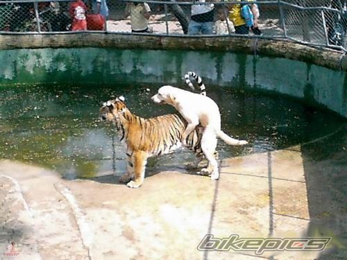 Photo 1508547
