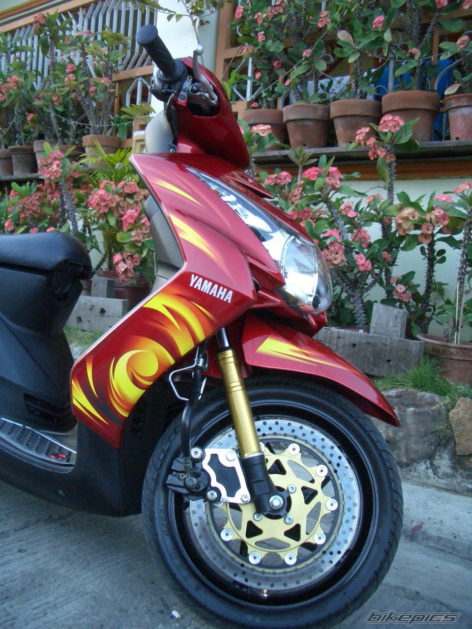 Bike Photo 1509023