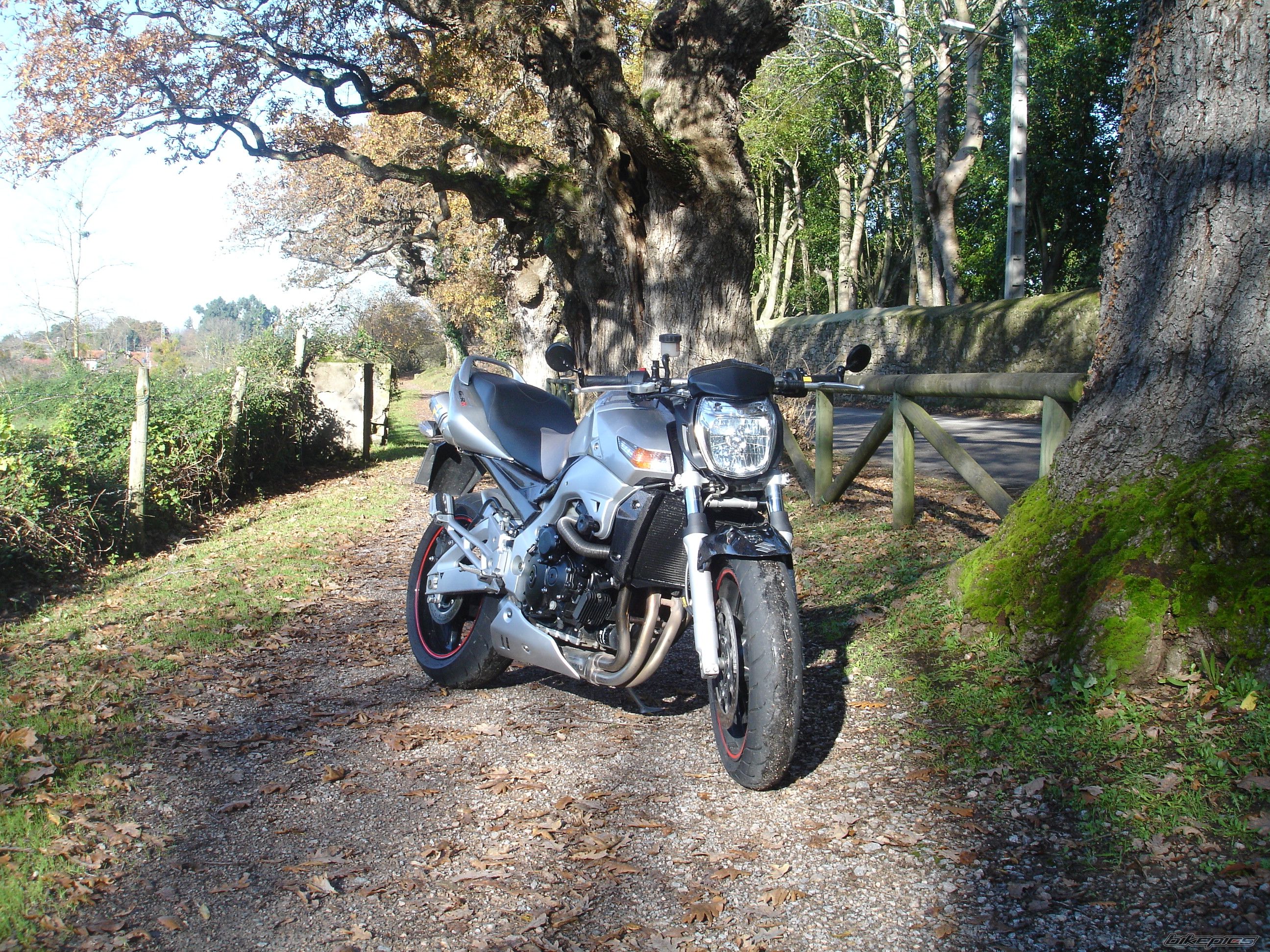 Bike Photo 1509192