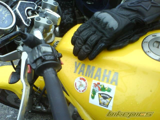 Photo 1509272