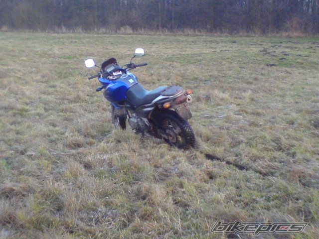 Photo 1509363