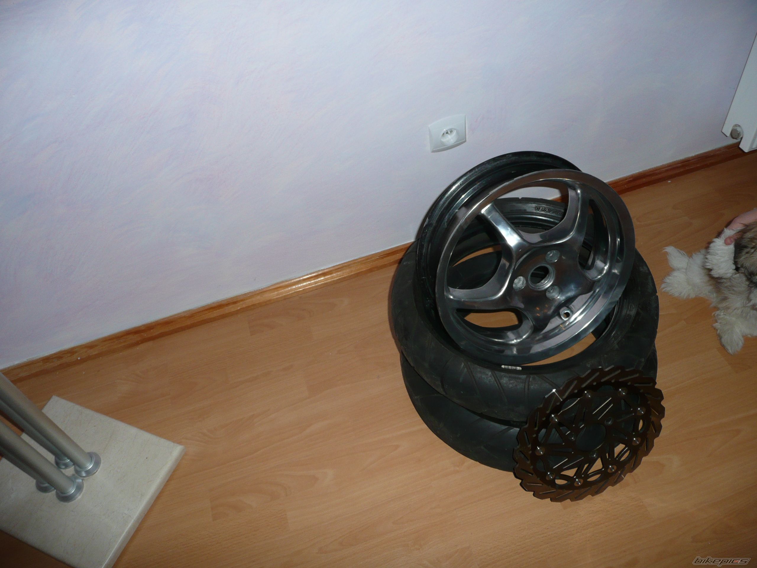 Photo 1509453