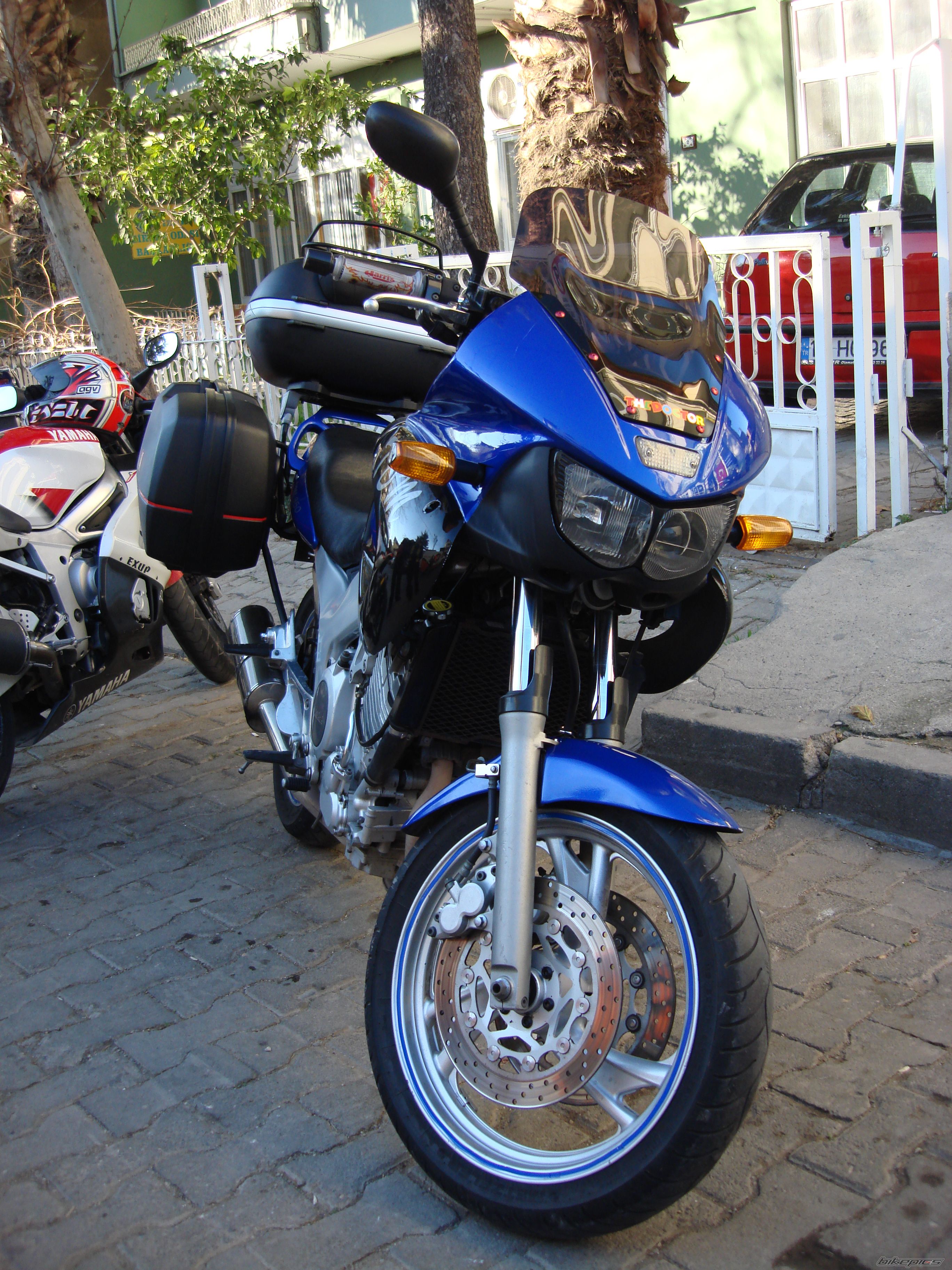 Photo 1509474