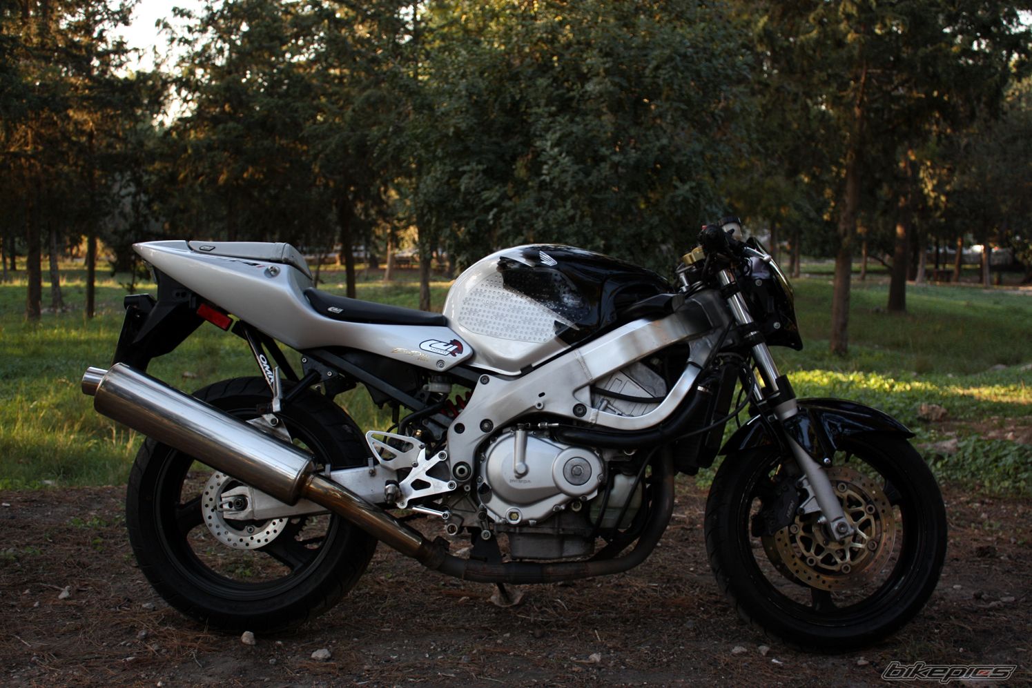 Bike Photo 1509531
