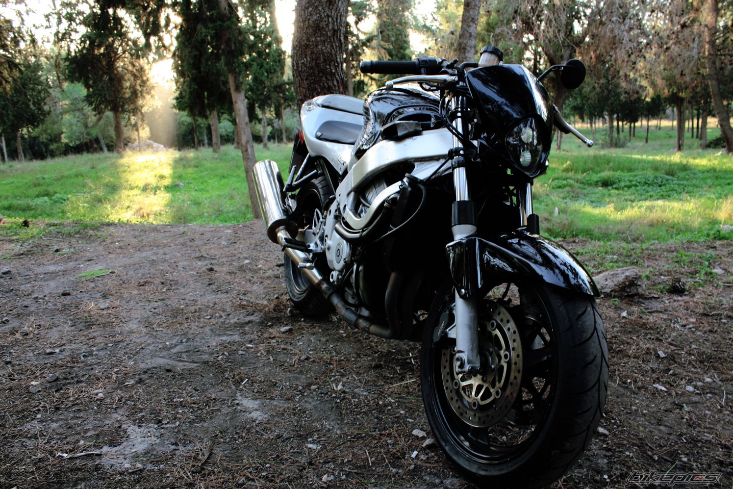 Bike Photo 1509535