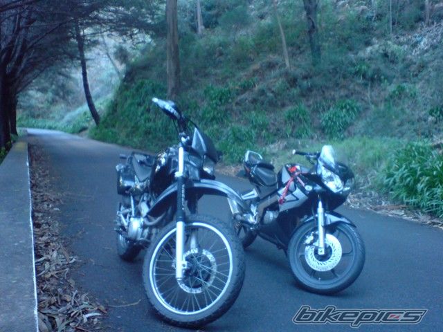 Bike Photo 1509586