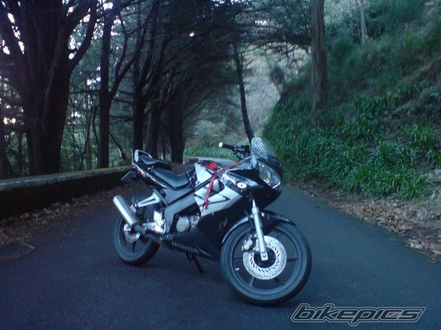 Bike Photo 1509587