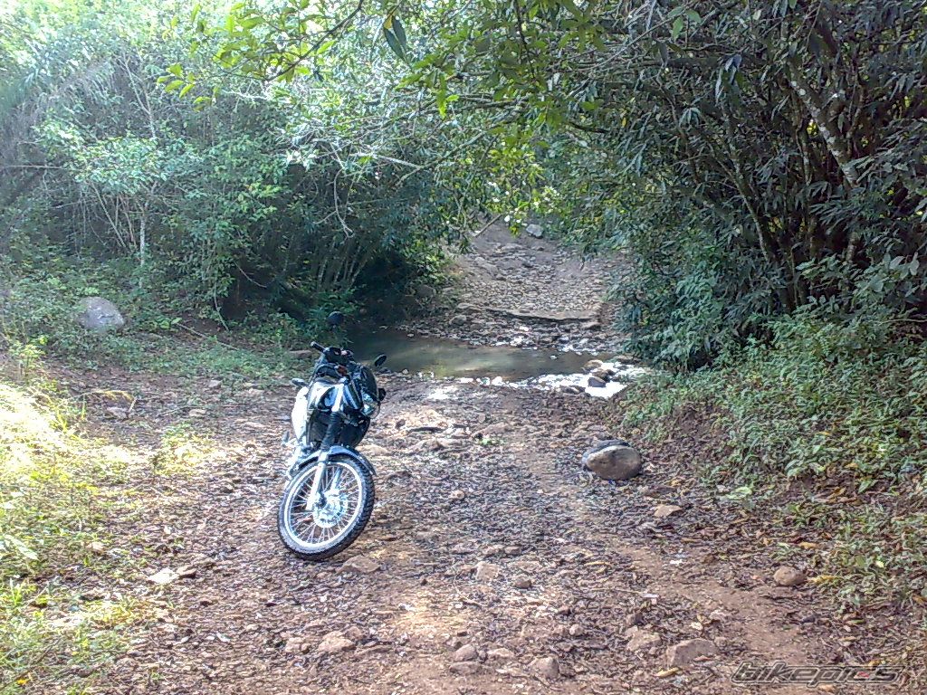 Photo 1509725
