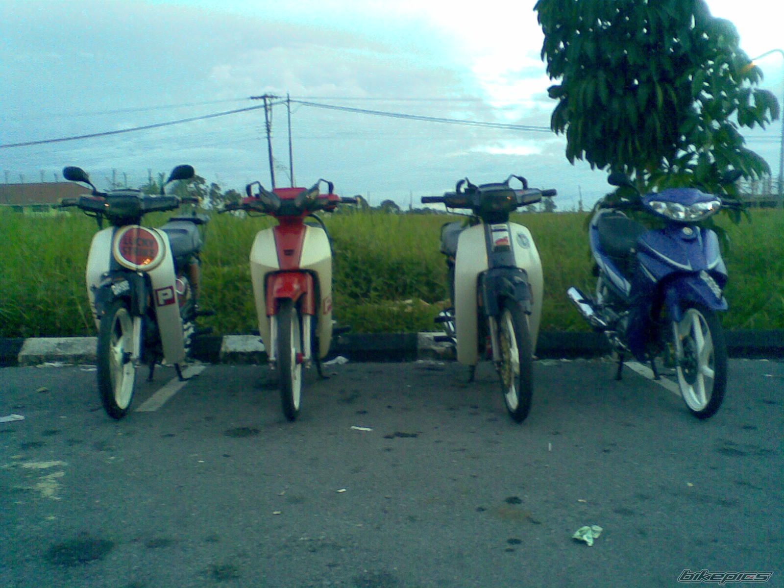 Photo 1509890