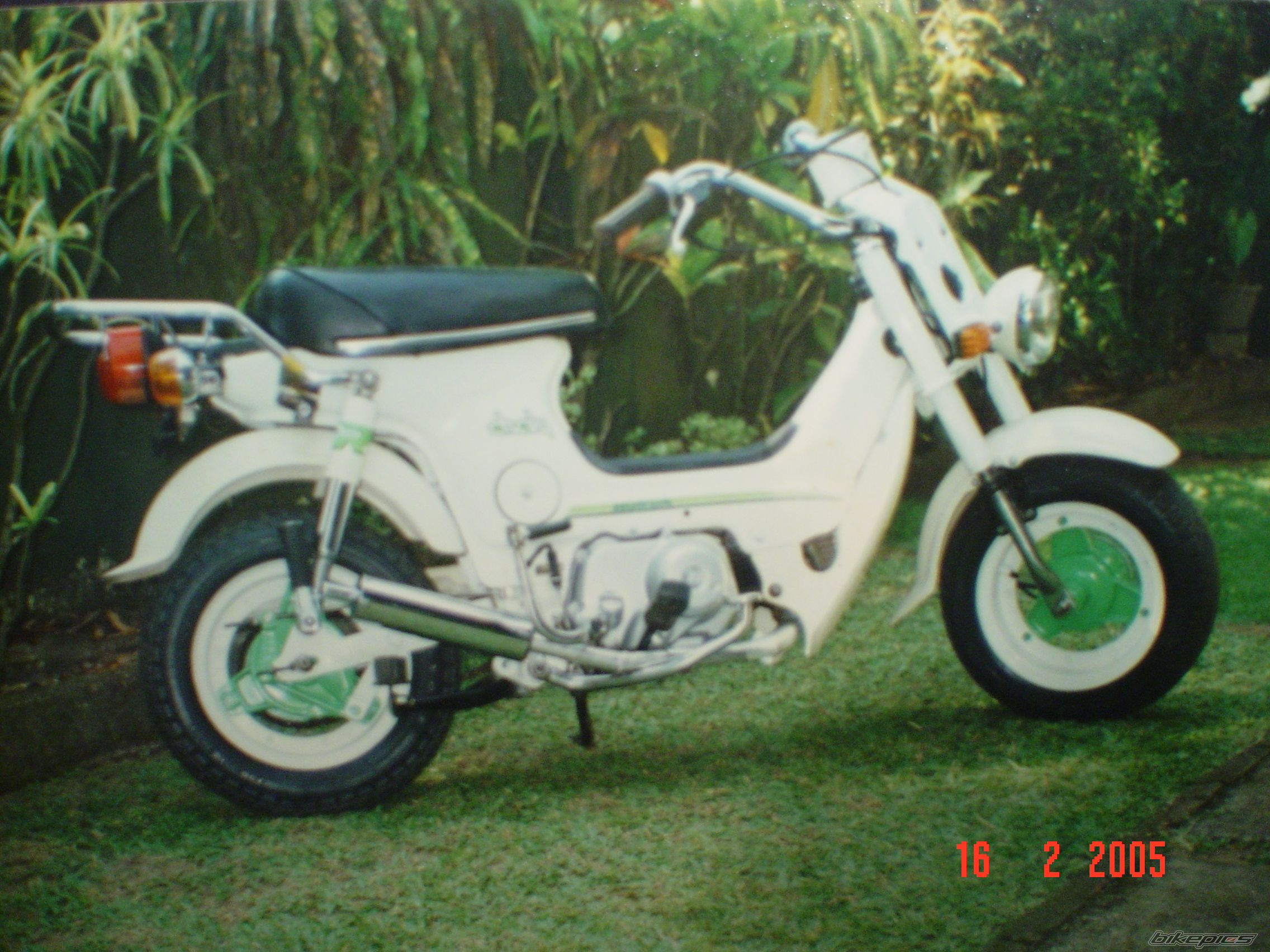 Photo 1509980