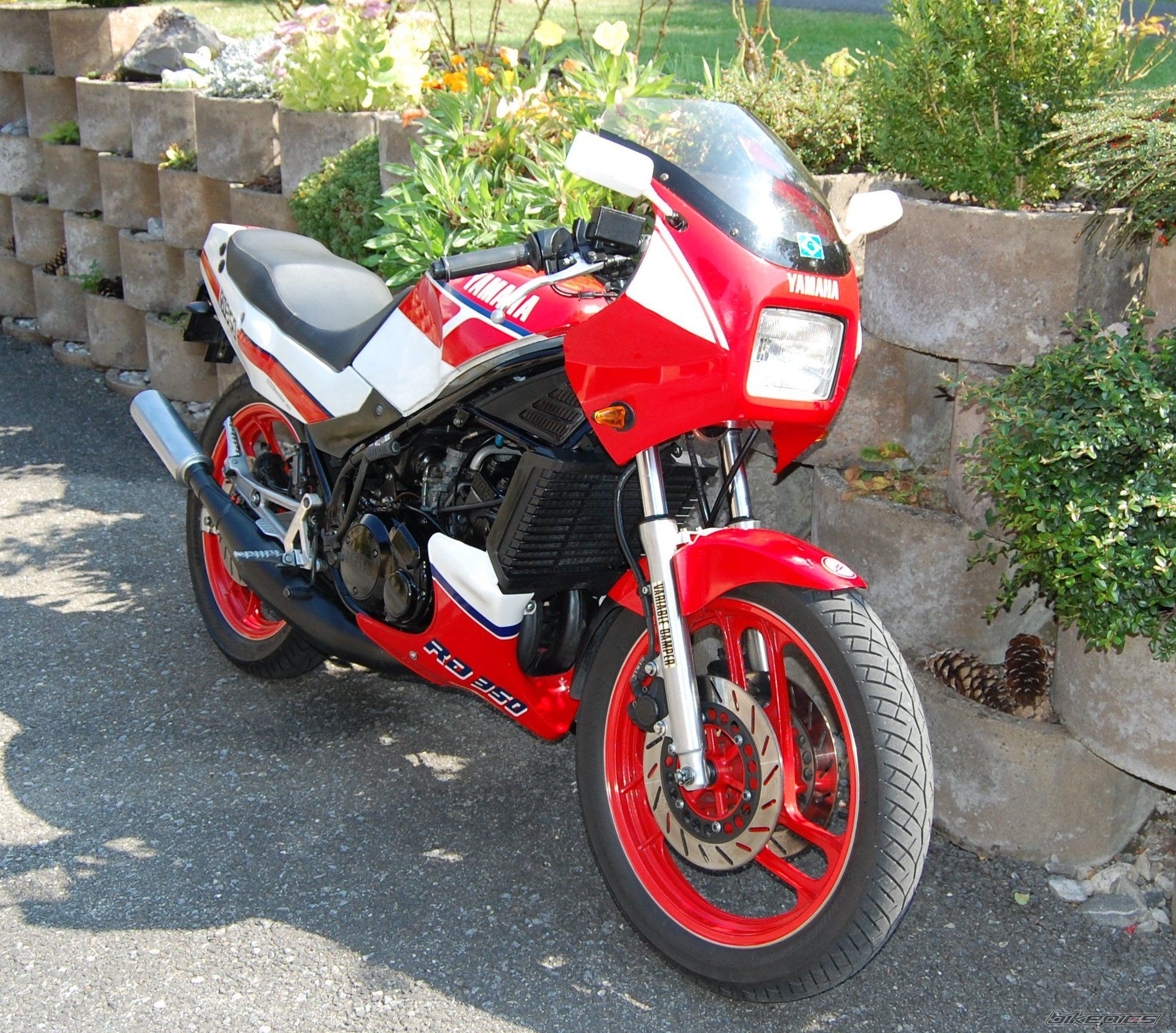 Bike Photo 1510329