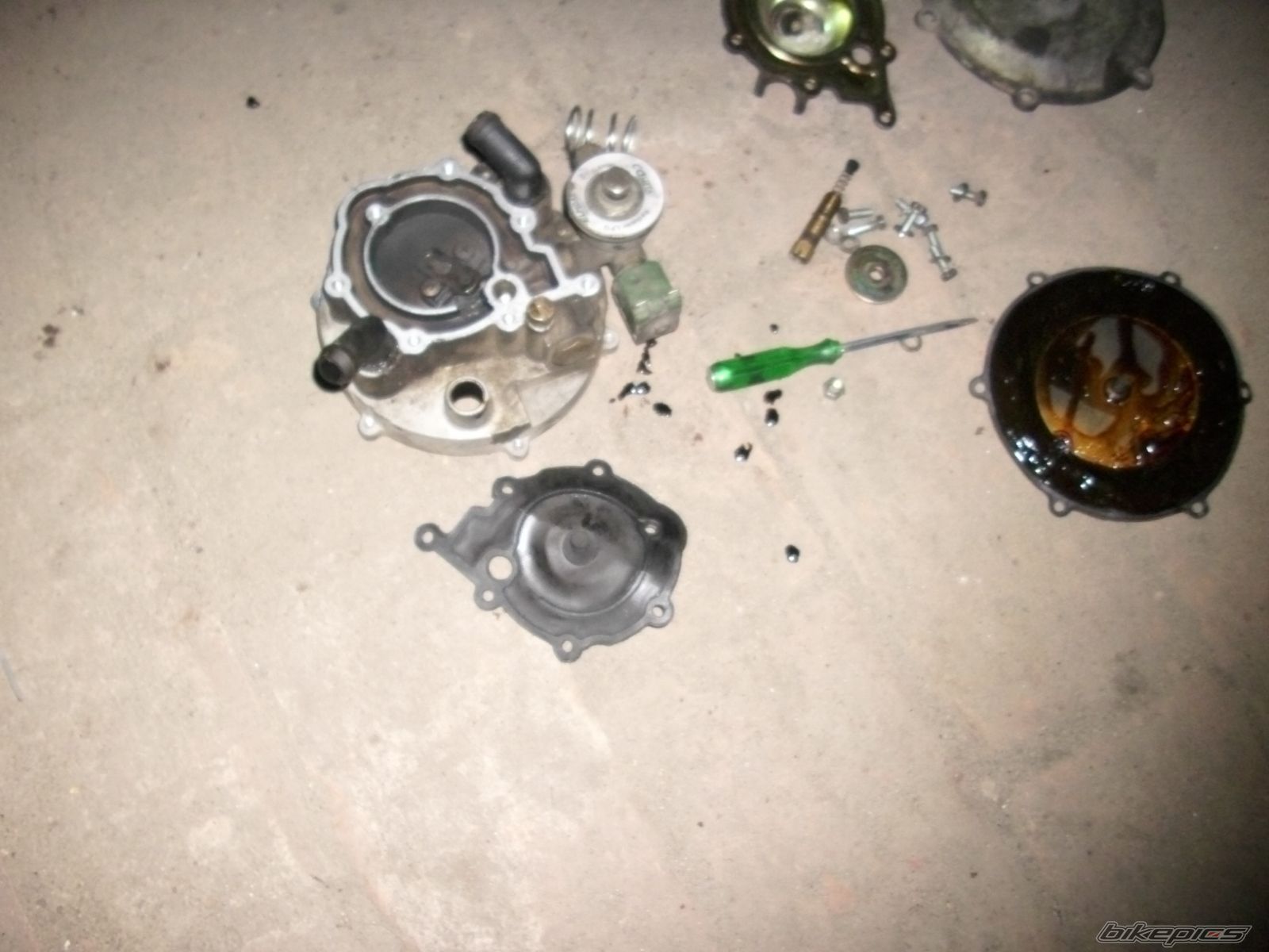 Photo 1510369