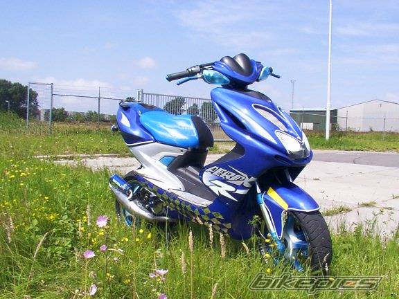 Photo 151093