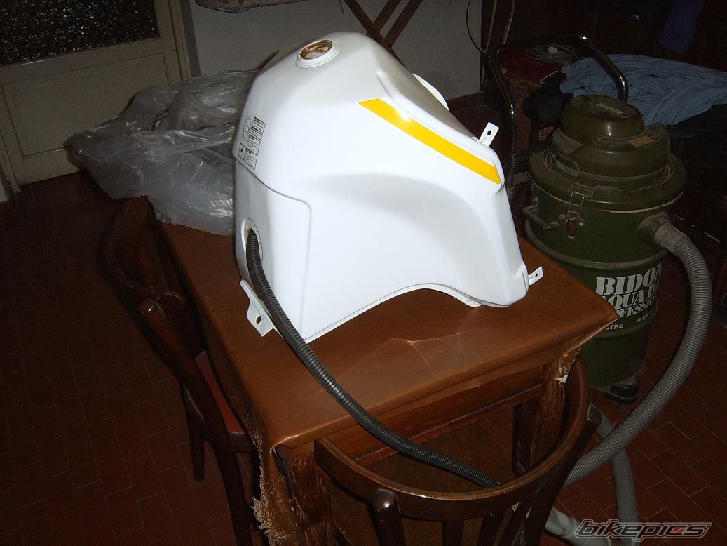 Photo 1510981