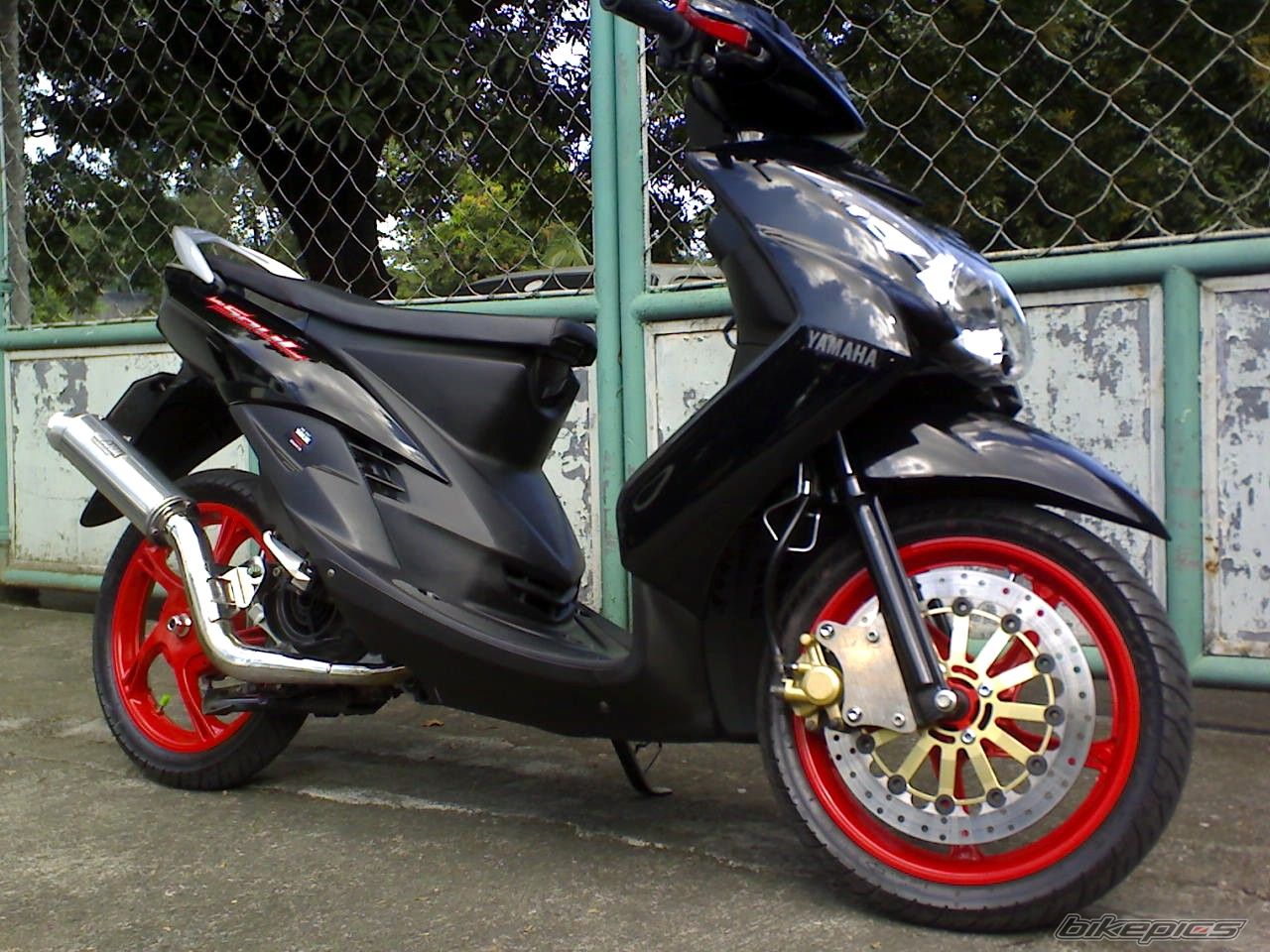 Photo 1511366