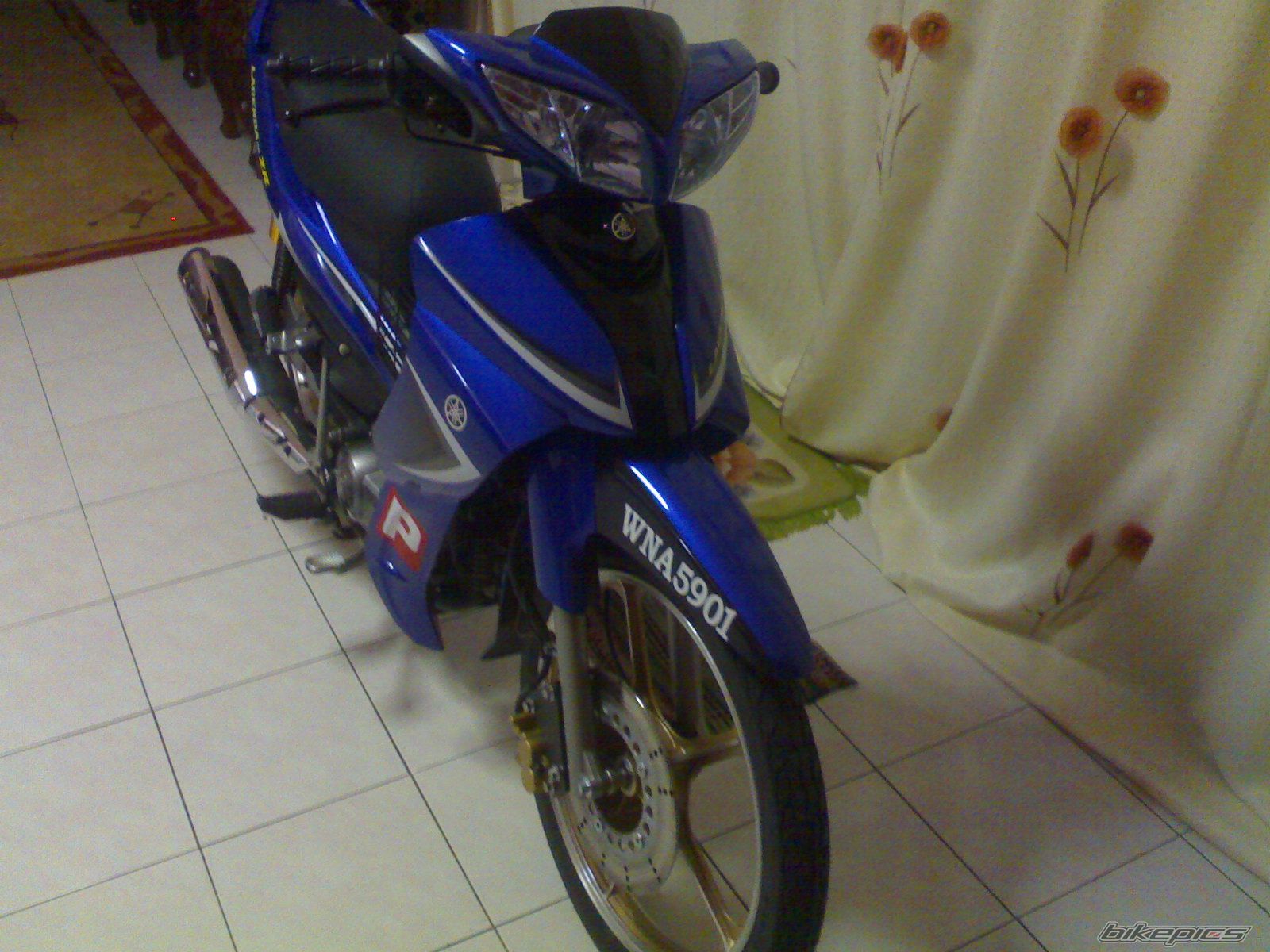 Photo 1511379