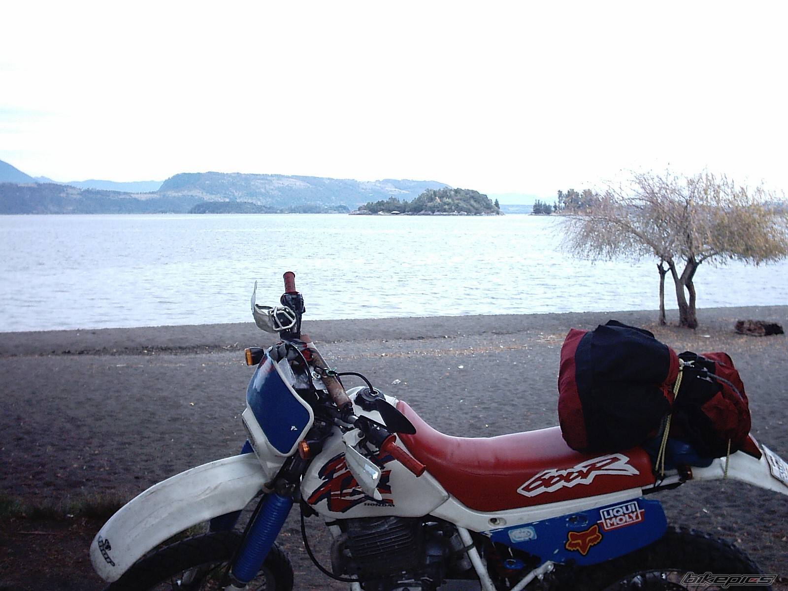 Photo 151138