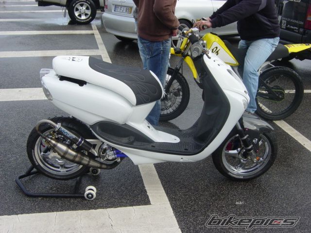 Photo 1511401