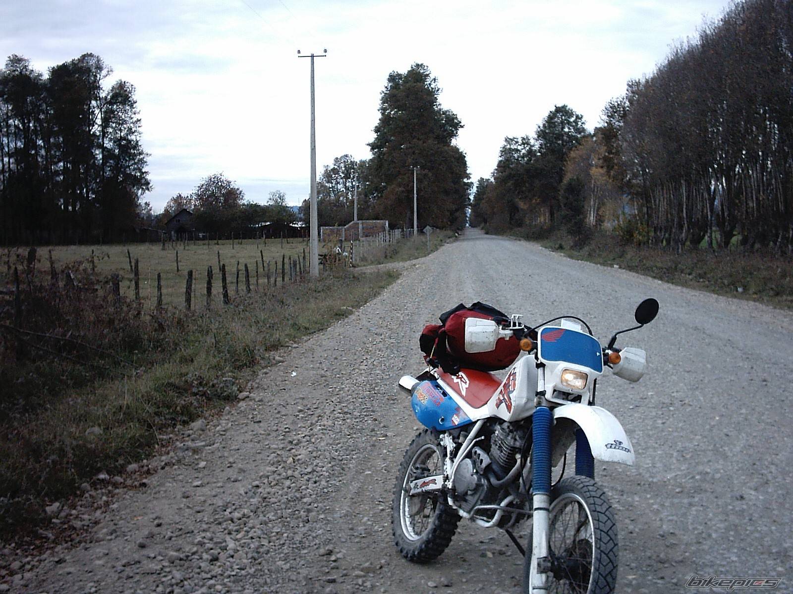 Photo 151145