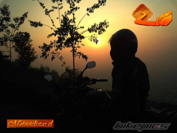 Bike Photo 1511465