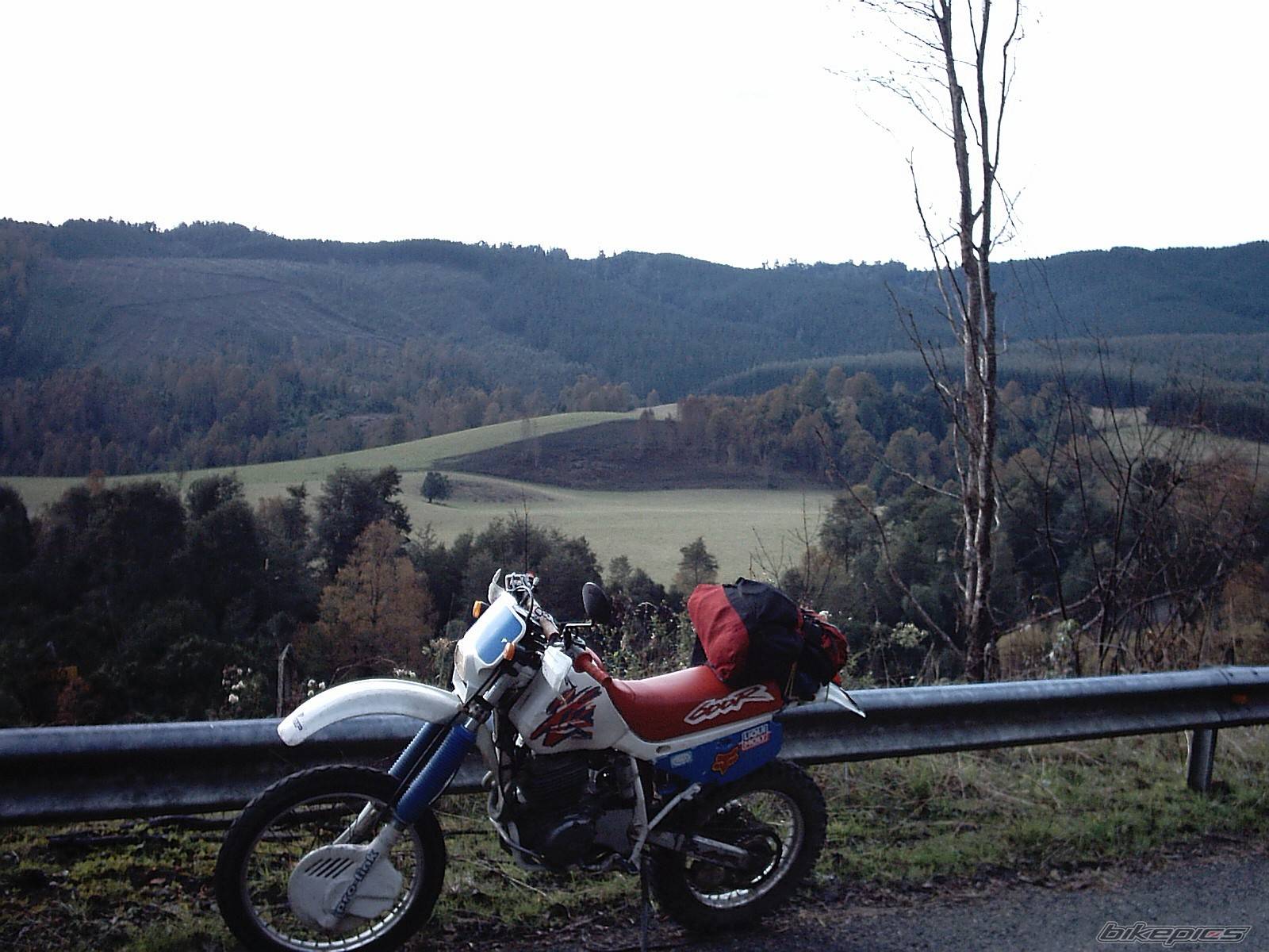 Photo 151150