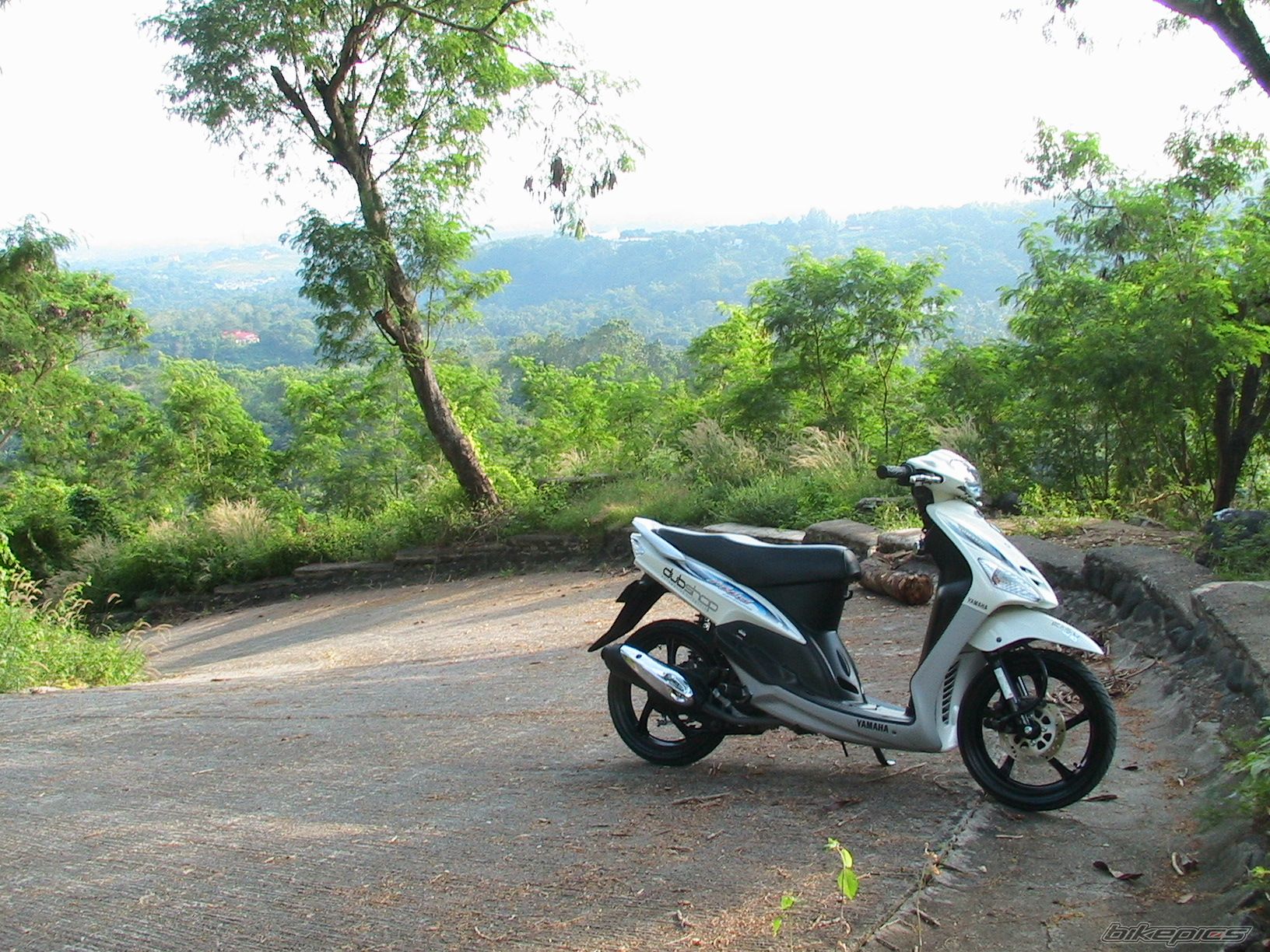 Photo 1511544