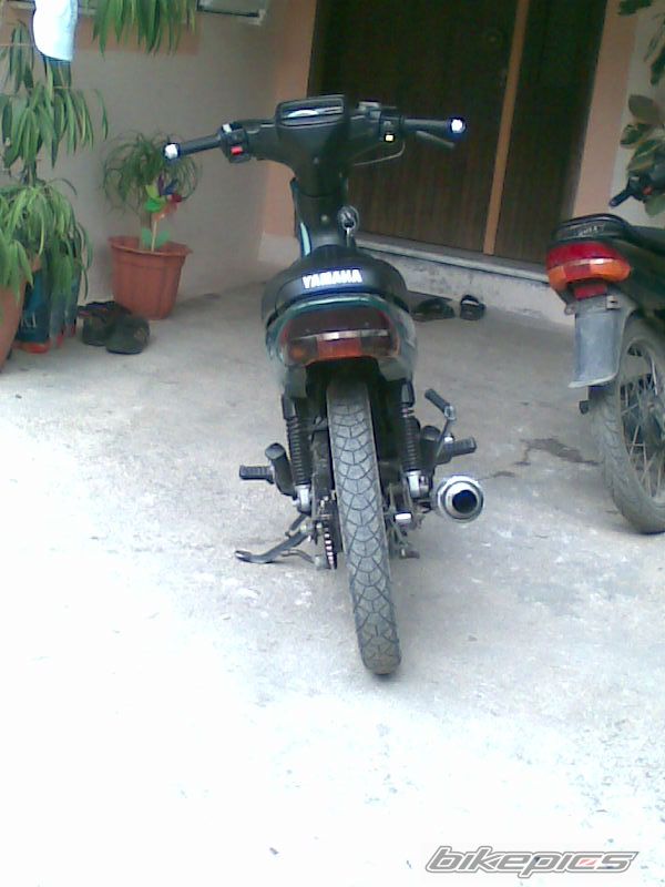 Photo 1511558