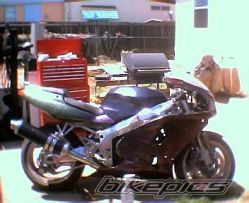 Photo 151163
