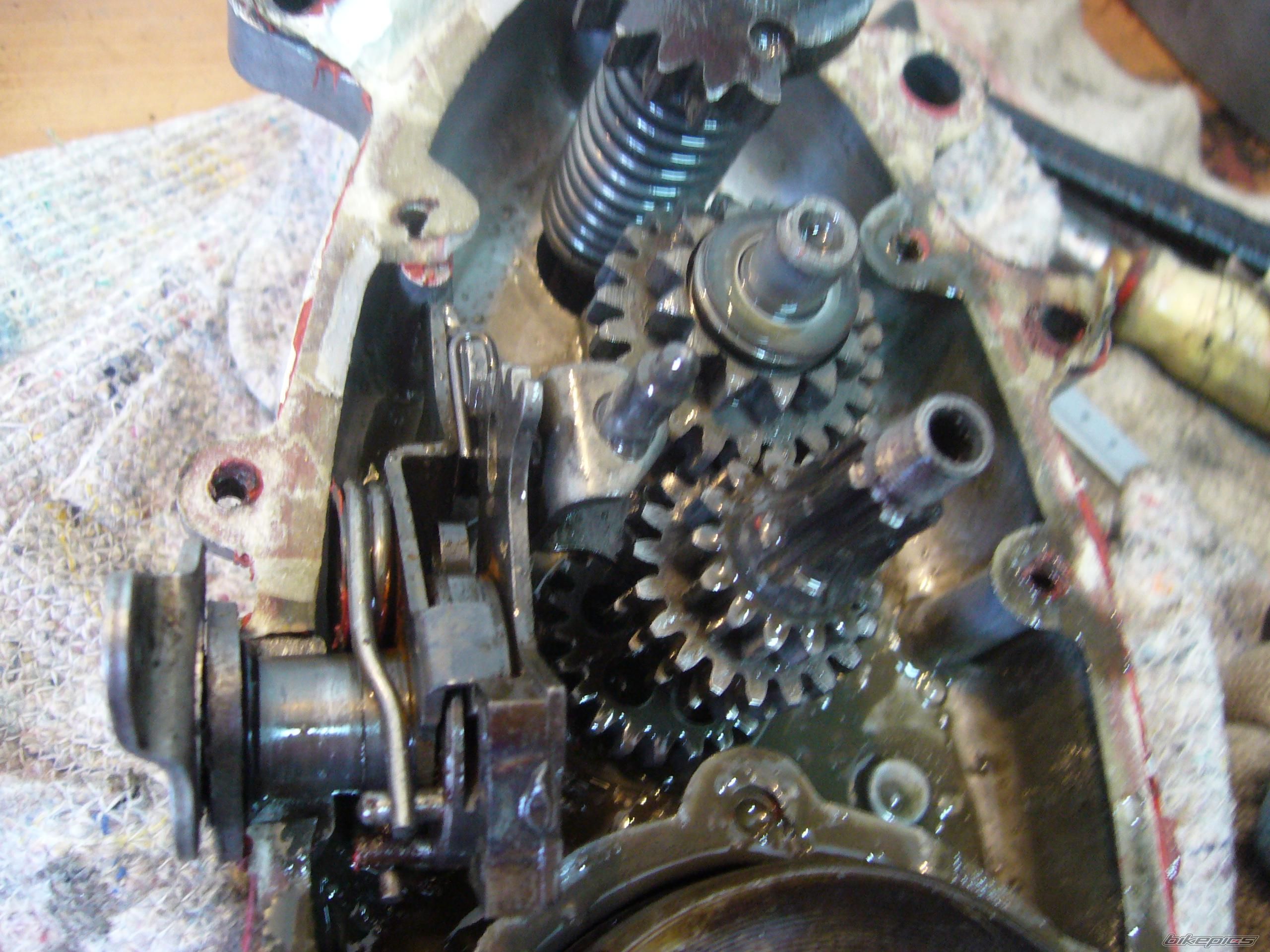Photo 1511643
